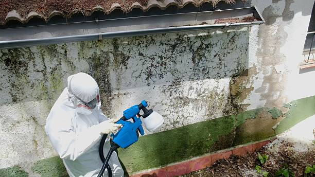 Trusted Mold Testing service in Georgetown, GA - Cheap Mold Removal